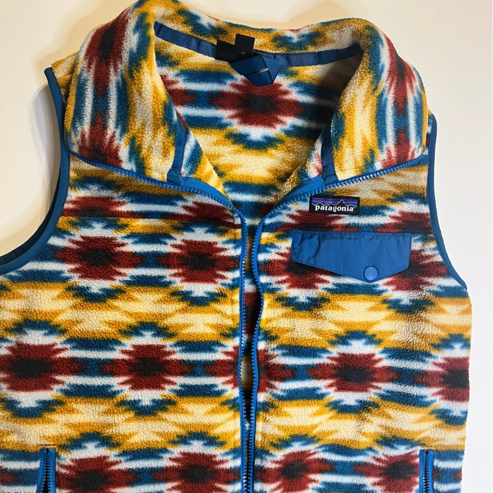 Patagonia Synchilla Fleece Vest